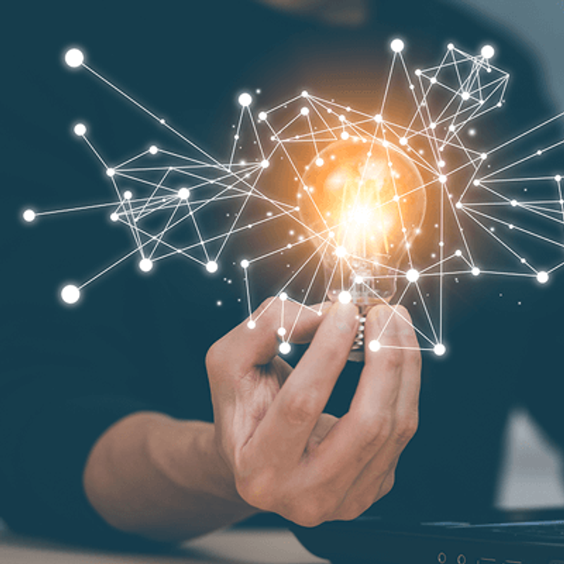 Intellectual Property Rights Law Services