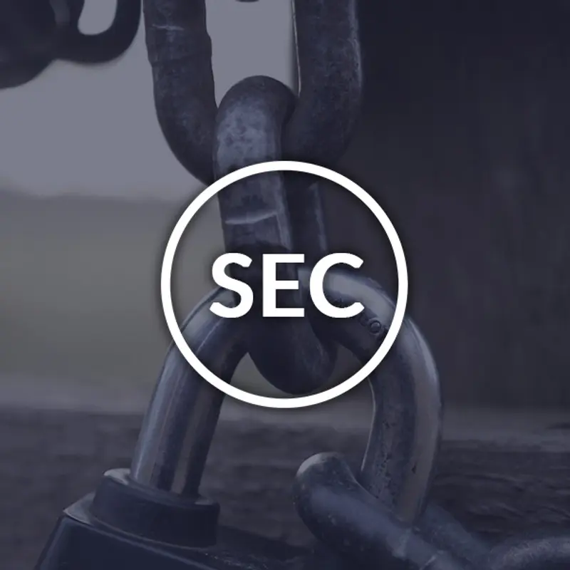 What is the U.S. Securities and Exchange Commission SEC