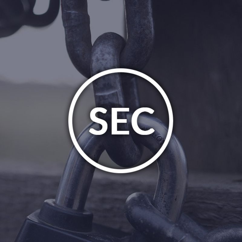 What is the U.S. Securities and Exchange Commission SEC