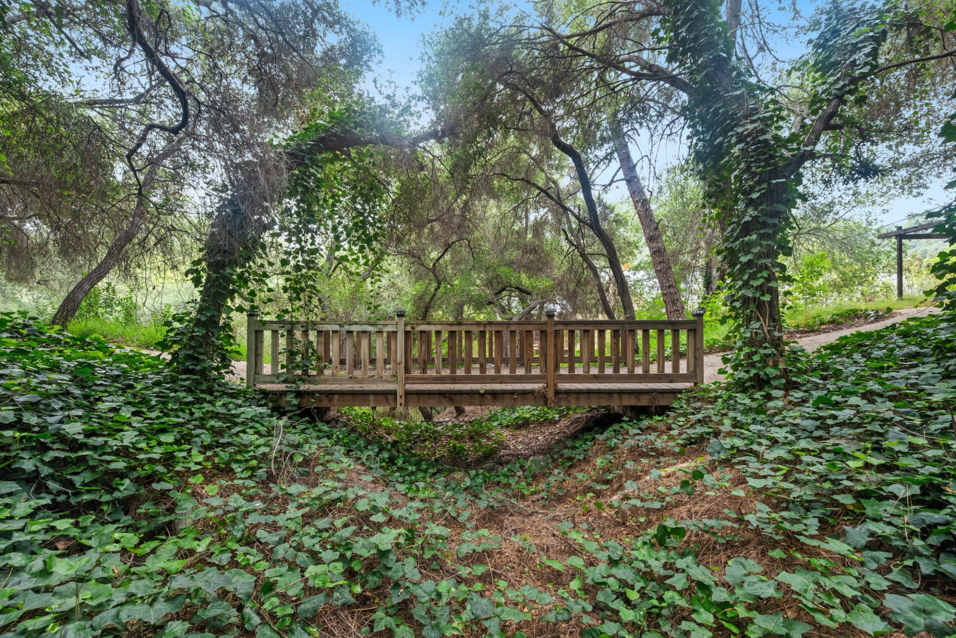 Grounds, pool, sport court, and gardens at 519 Meadow Grove