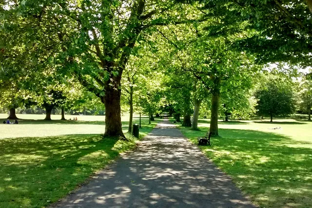 Royal Victoria Park in Bath: Picturesque view of the avenue, lined with beautiful trees, offering a serene and scenic pathway for leisurely strolls