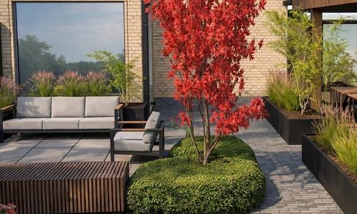 Cover image for Totaalpakketten Tuinontwerp