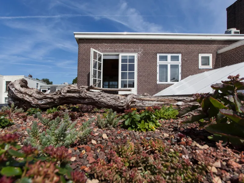 Loft office — image 15