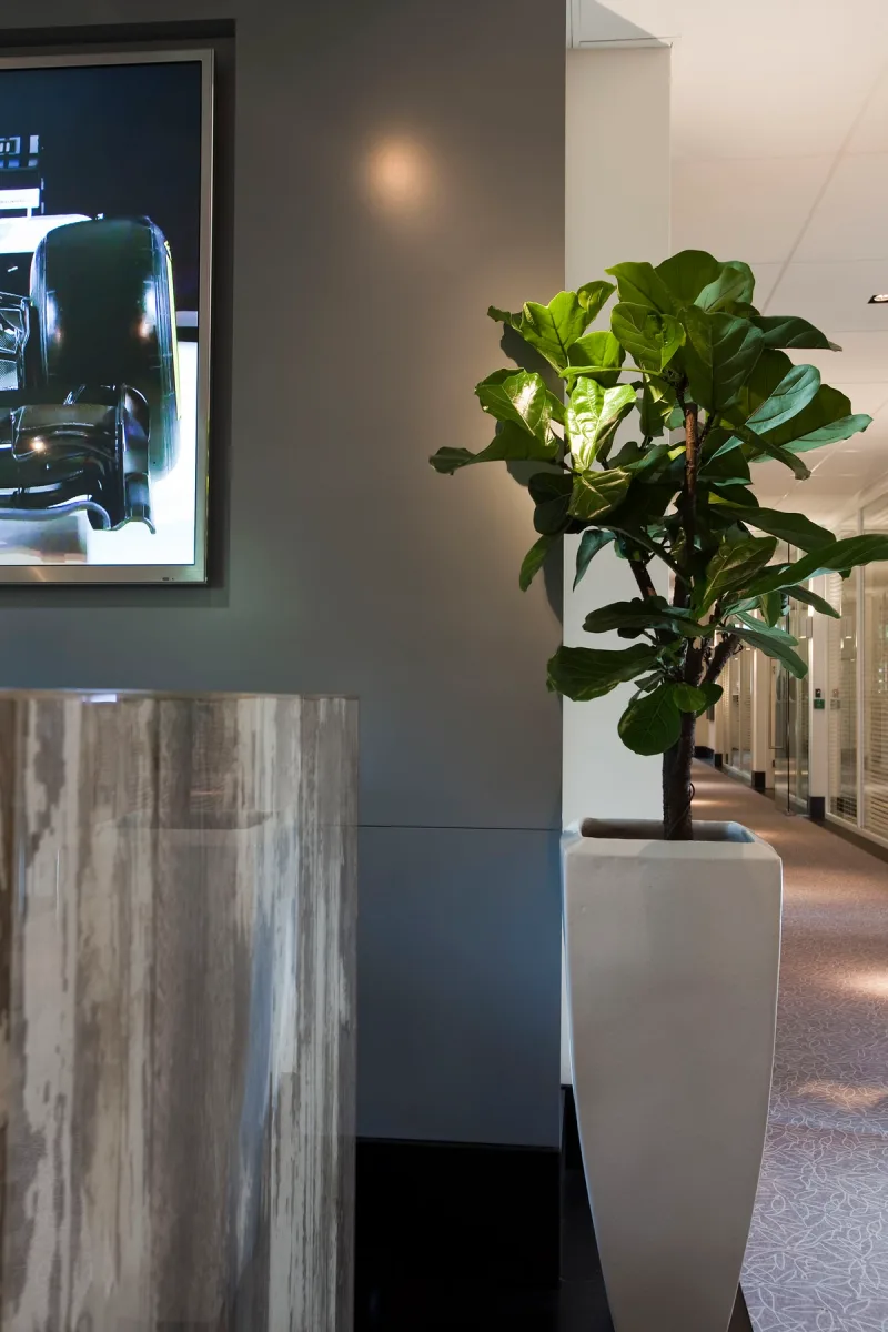 Black-beamed Office — image 13