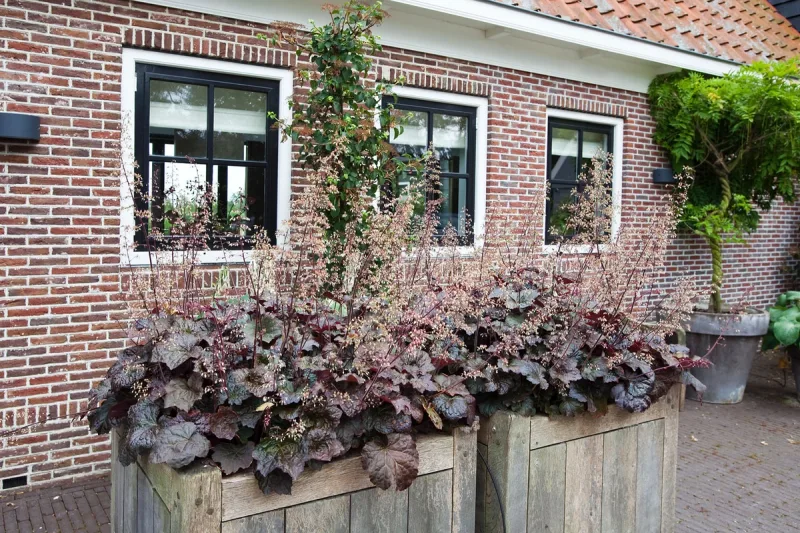 Farm House — image 41