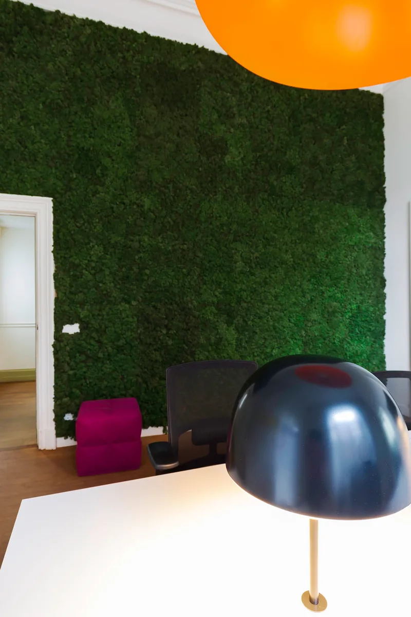 Freedom Lab — image 8