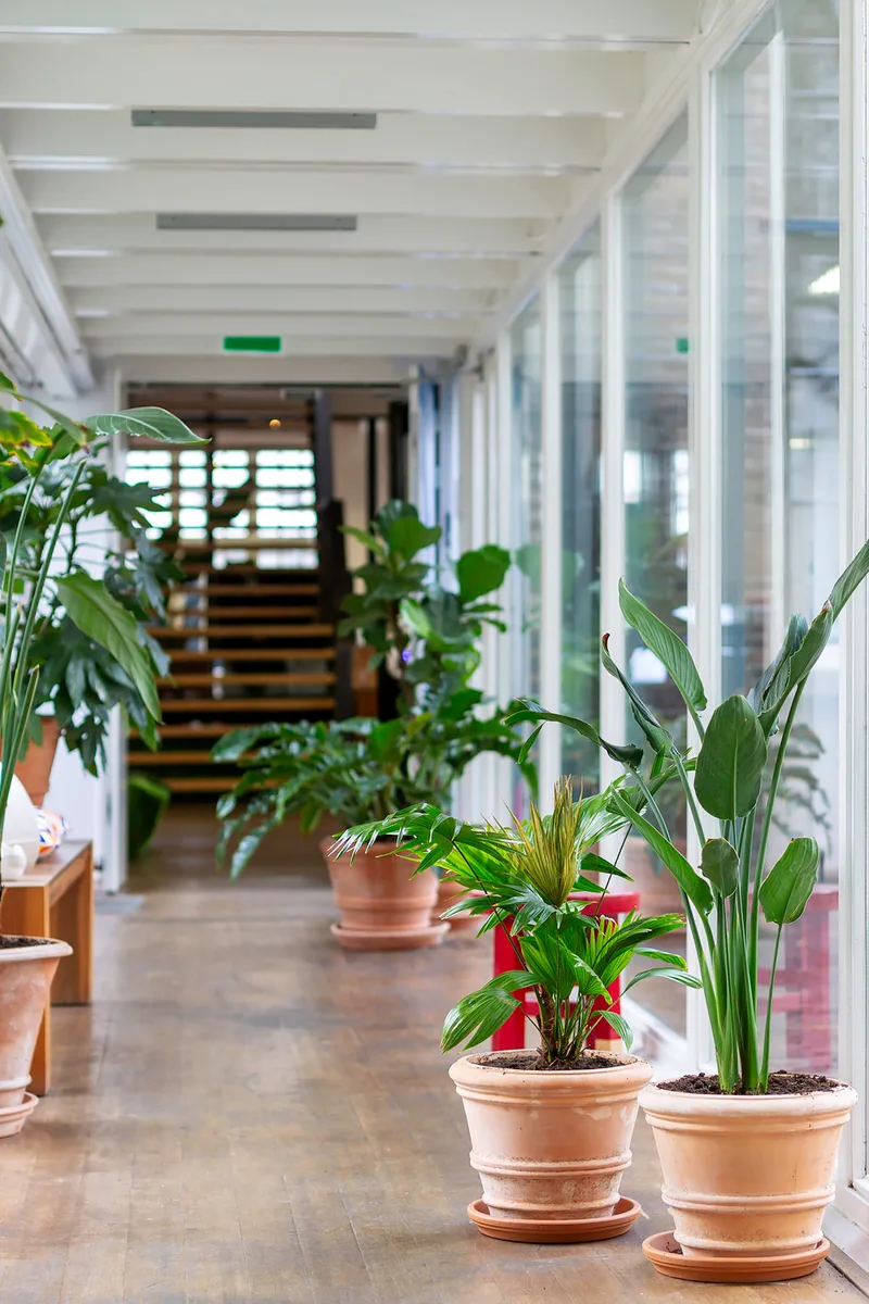 Freedom Lab — image 17
