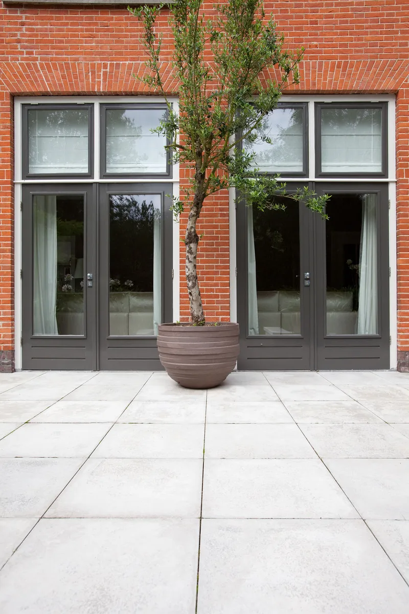 Forest Residence — image 47