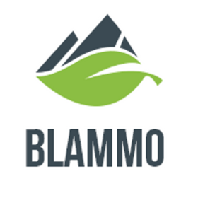 Blammo logo