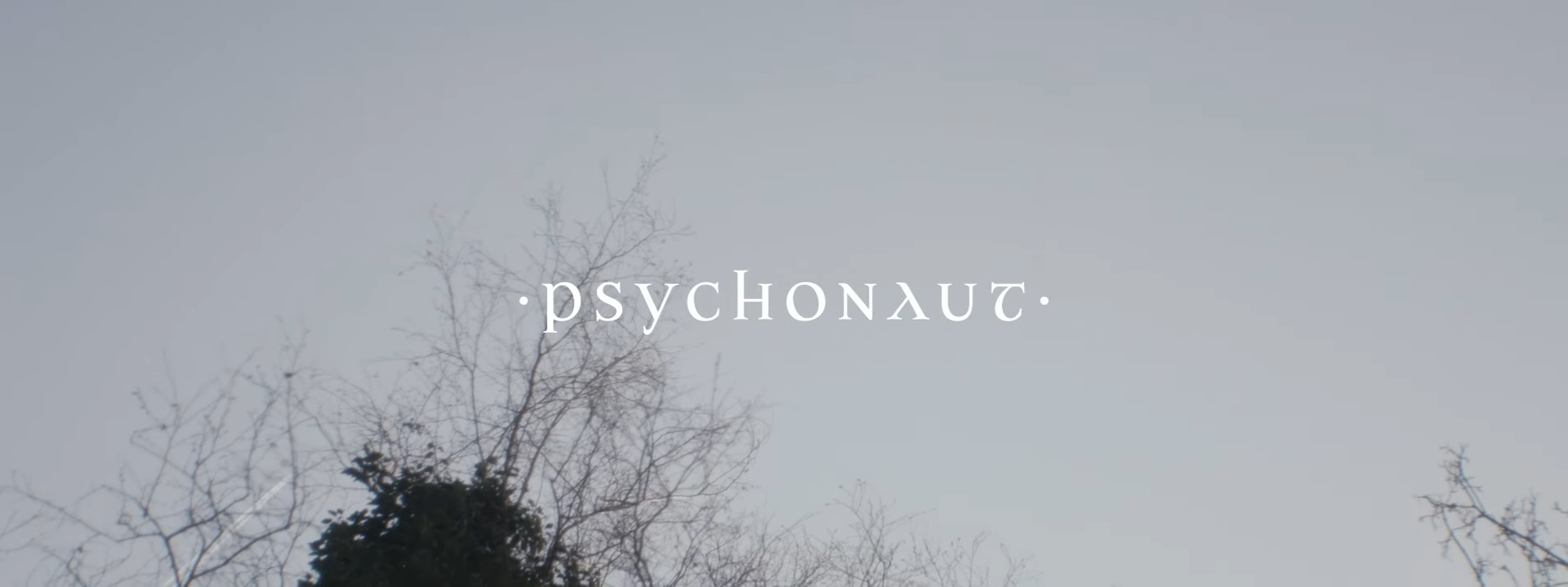 Psychonaut - Interbeing