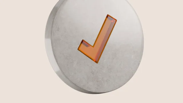 A grey circular object with an orange checkmark.