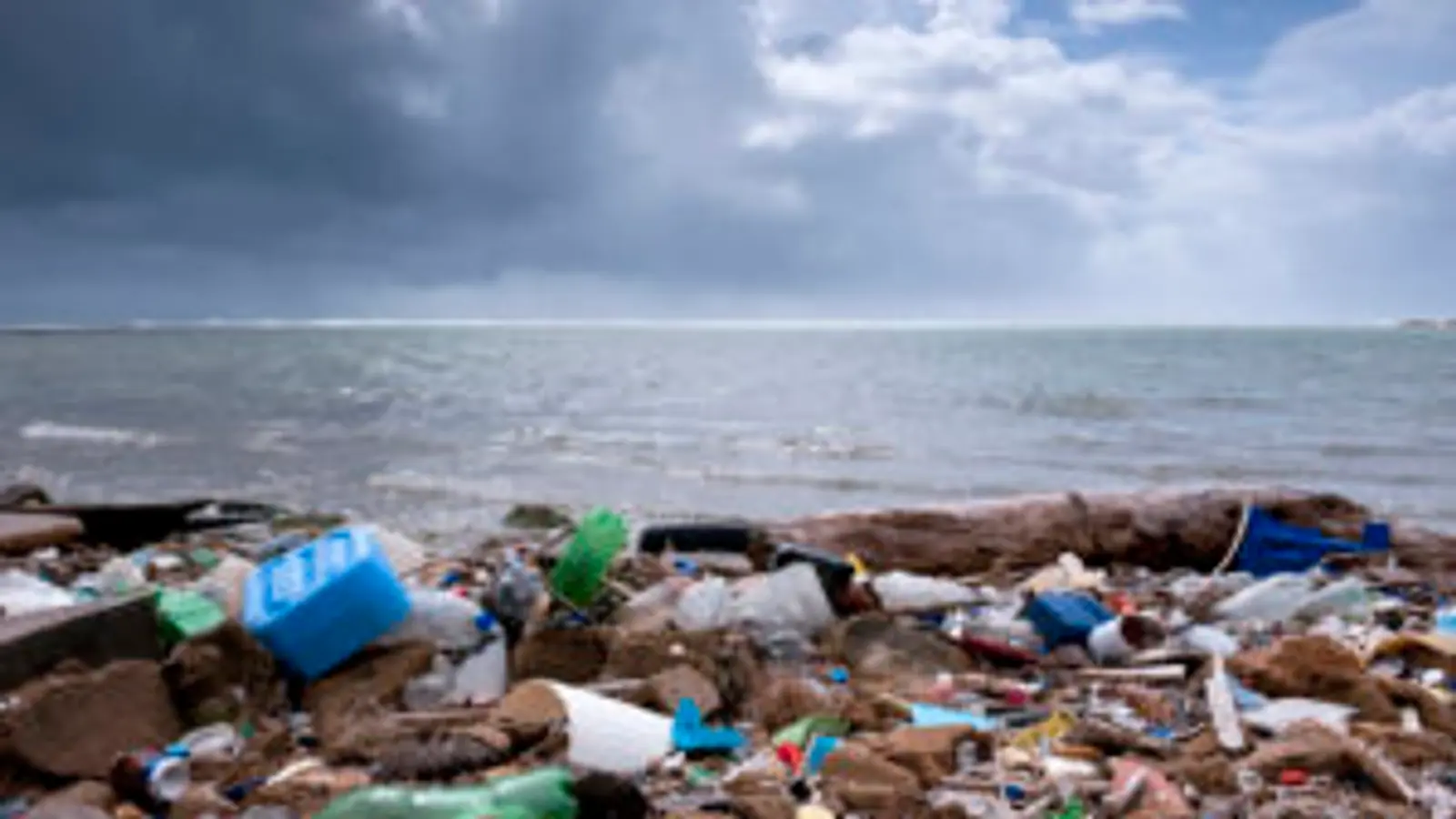Taking the plastic out of payments