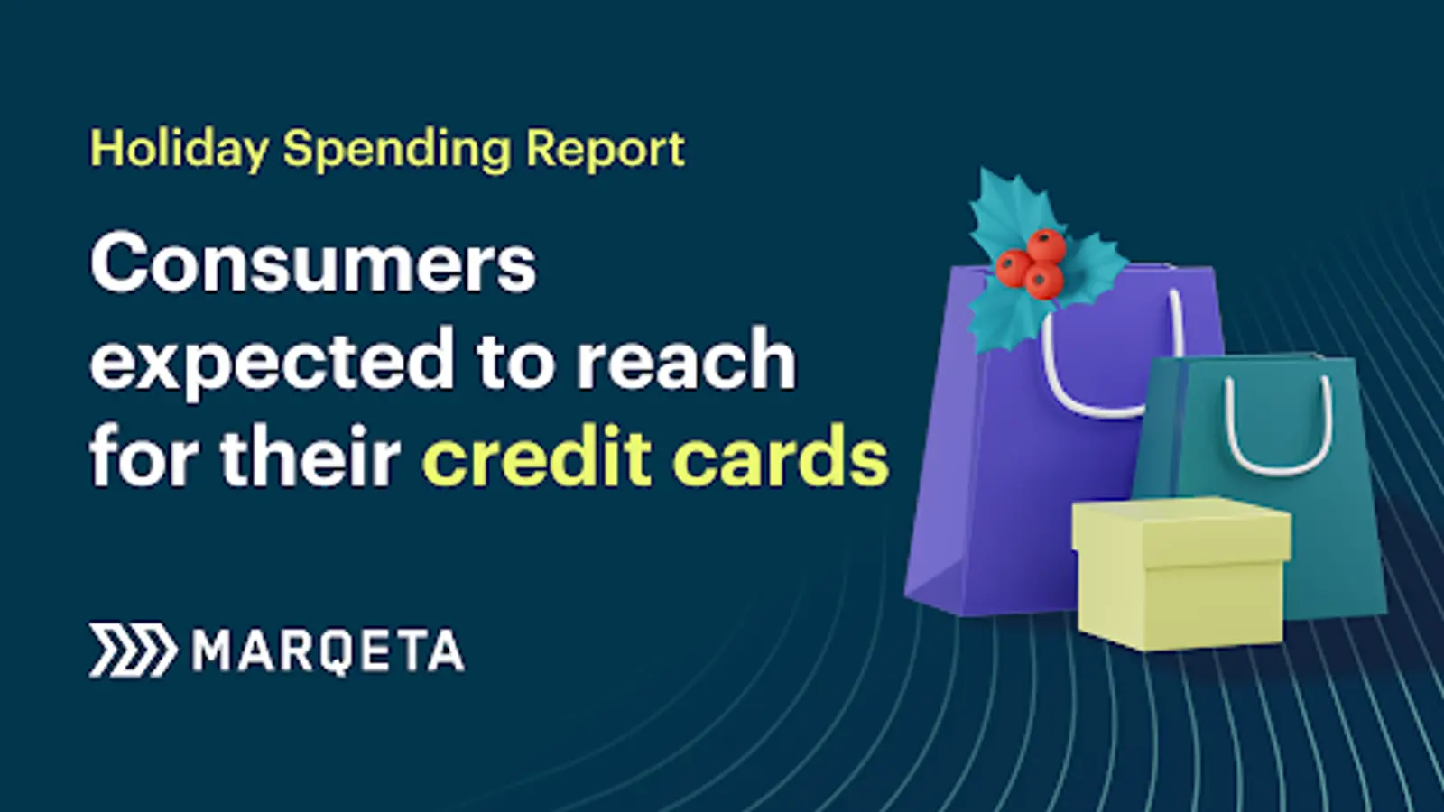 Holiday Spending: Consumers to reach for credit