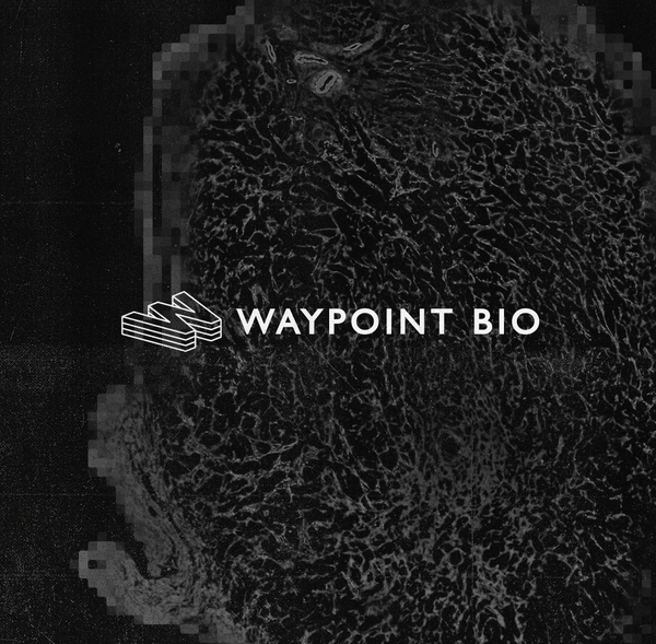 Waypoint Bio: Immune Engineering