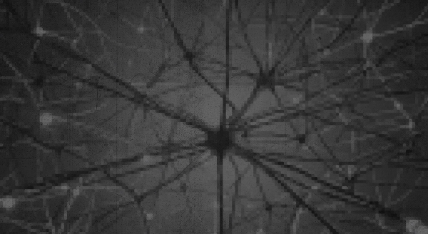 Memory Augmented Neural Networks for Retrieval and Continual Learning