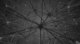 Memory Augmented Neural Networks for Retrieval and Continual Learning