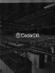CedarDB, the fastest database you’ve never heard of