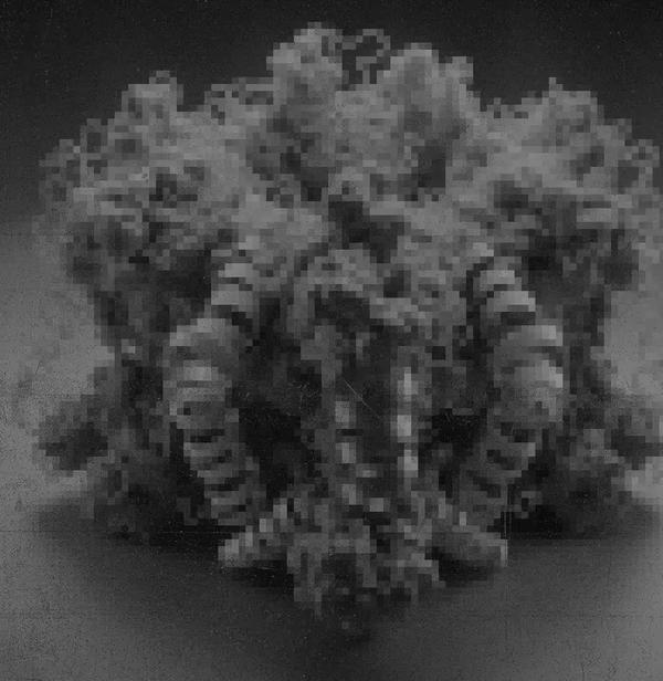 Amplify Bio Manifesto