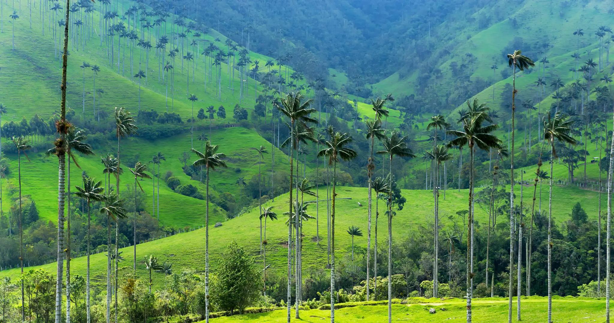 Colombian Greetings — Cultural Atlas