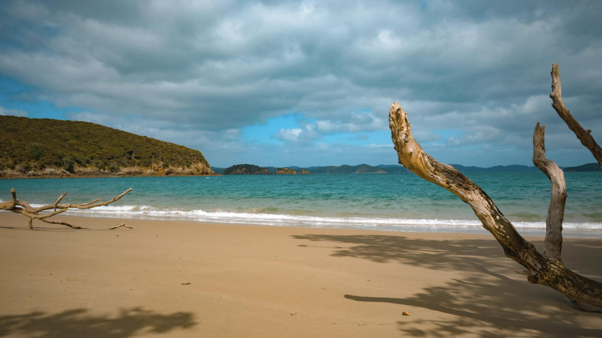 Paradise Bay
