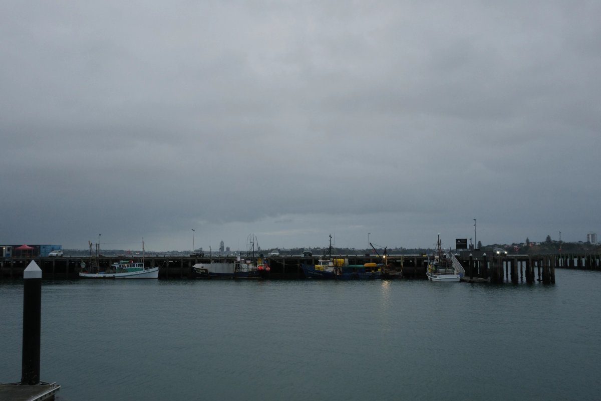 Port of Auckland