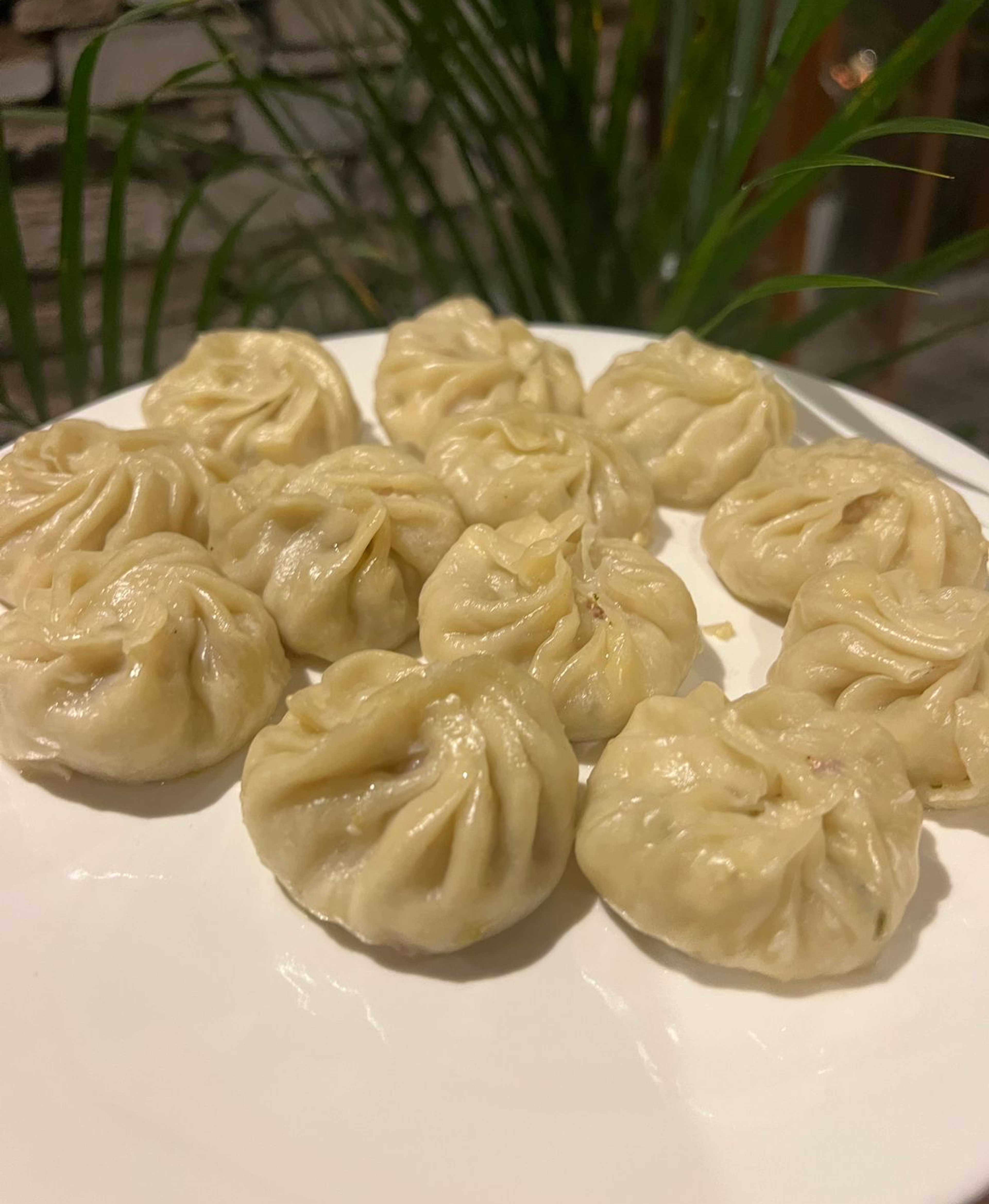 A plate of freshly steamed momos