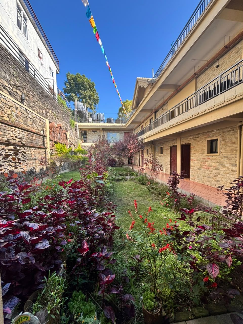 The courtyard garden between the room wings, red and green leaves in bloom