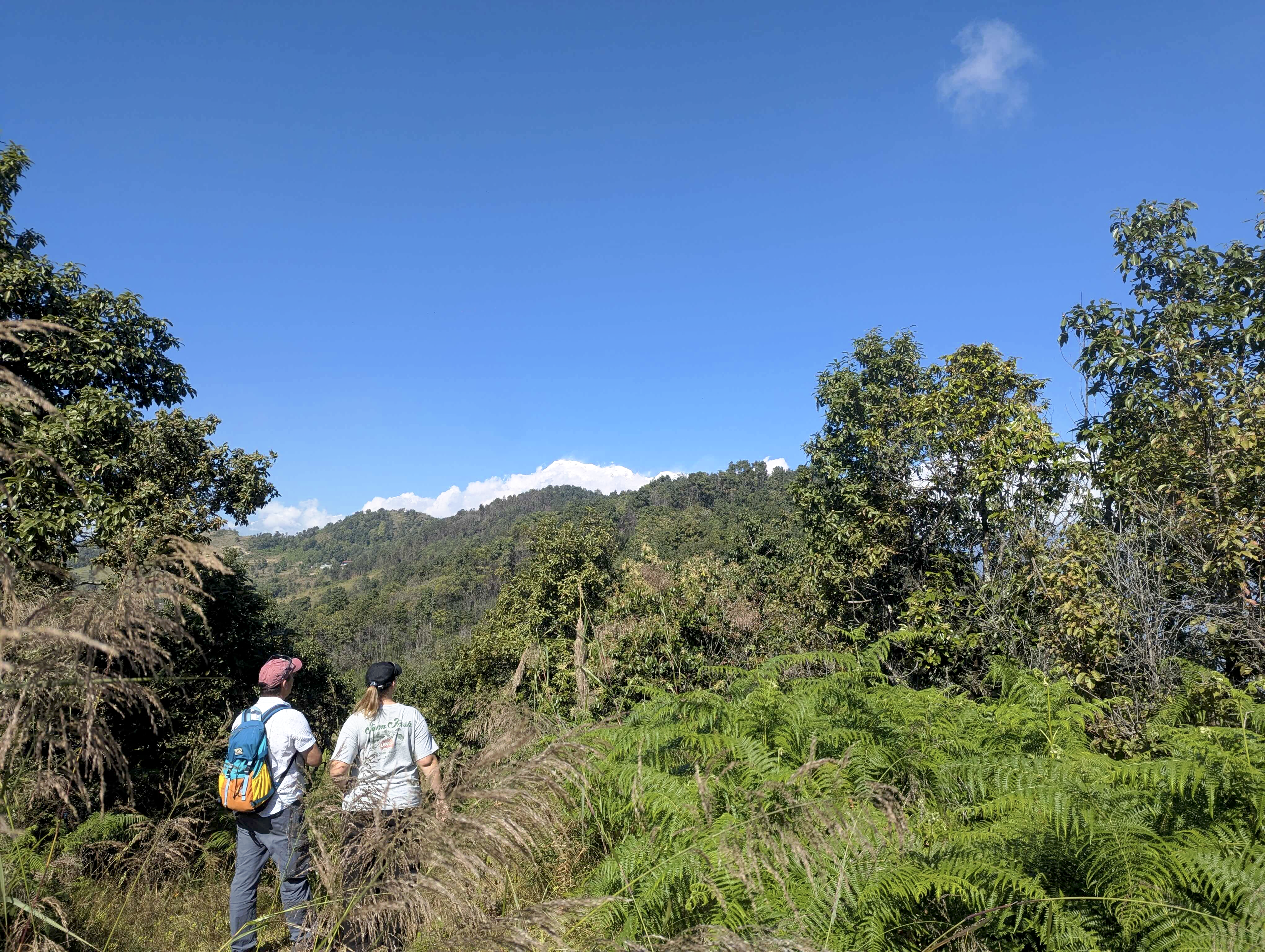 hiking