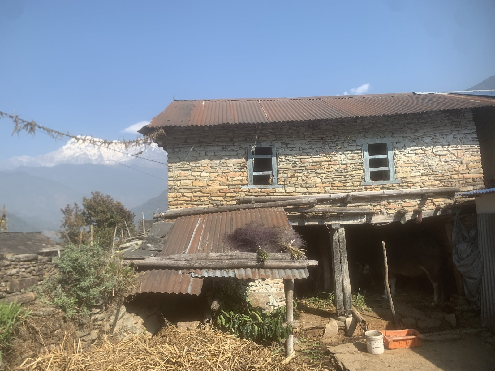 A buffalo shed in a village with the Annapurna range behind