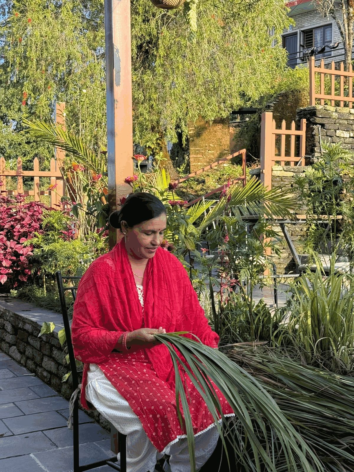 Maya sitting in the garden, sorting a bundle of fresh lemongrass
