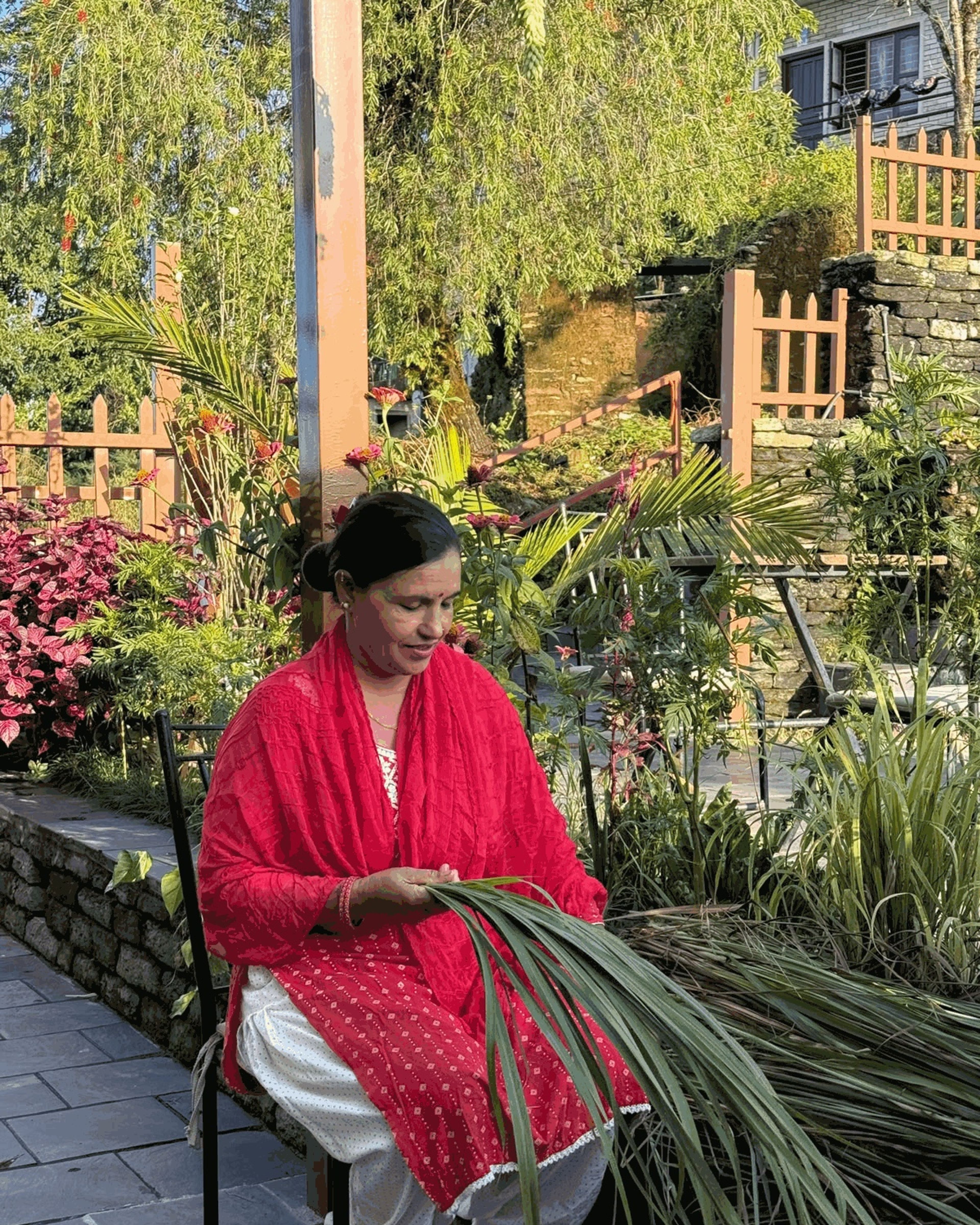 Maya sitting in the garden, sorting a bundle of fresh lemongrass