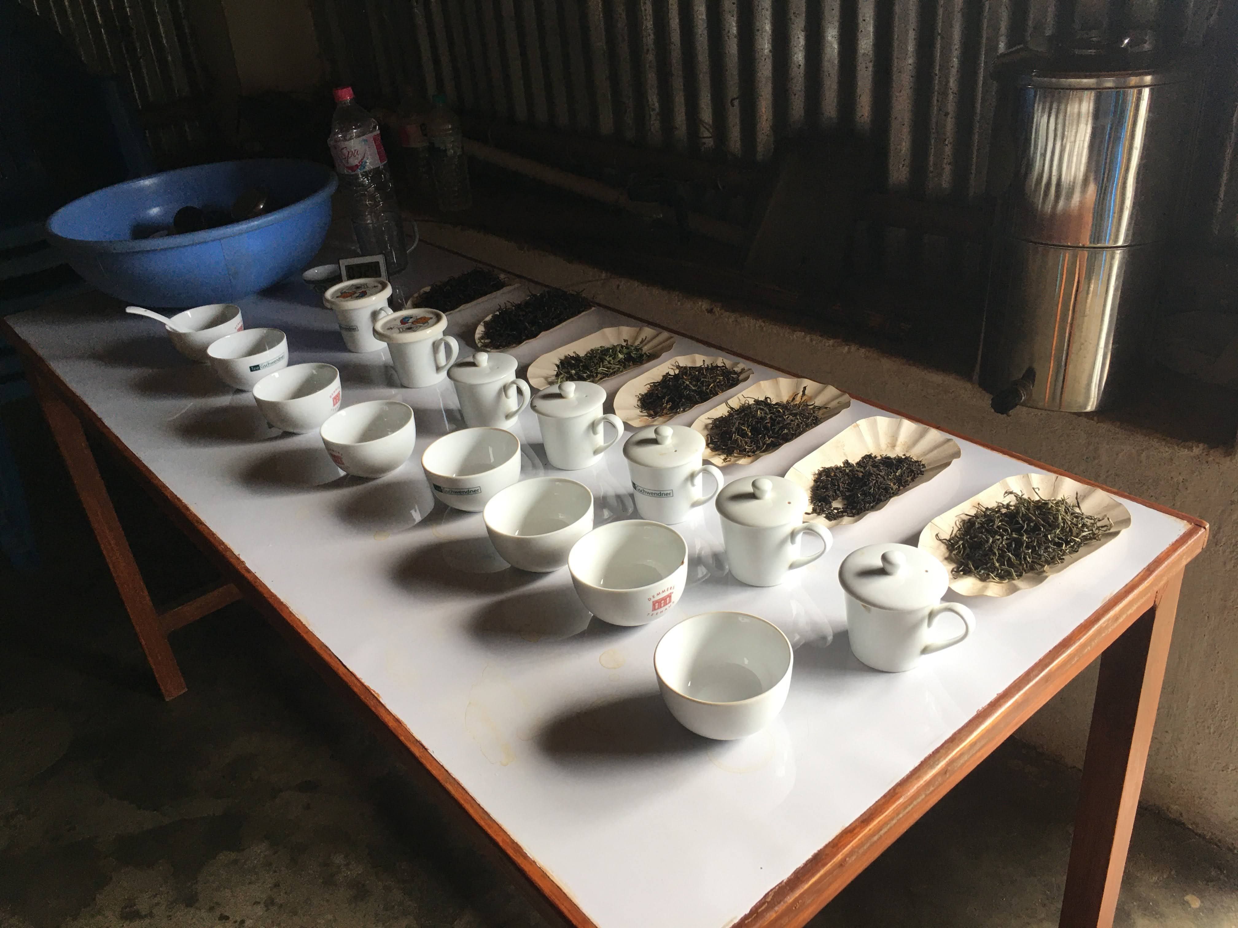 Brewing tea.