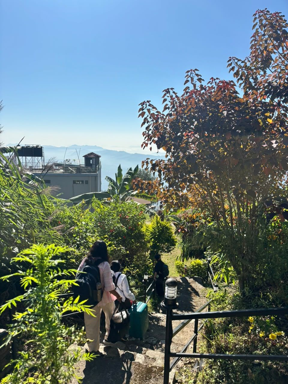 Guests walking up the garden path from the parking with their luggage