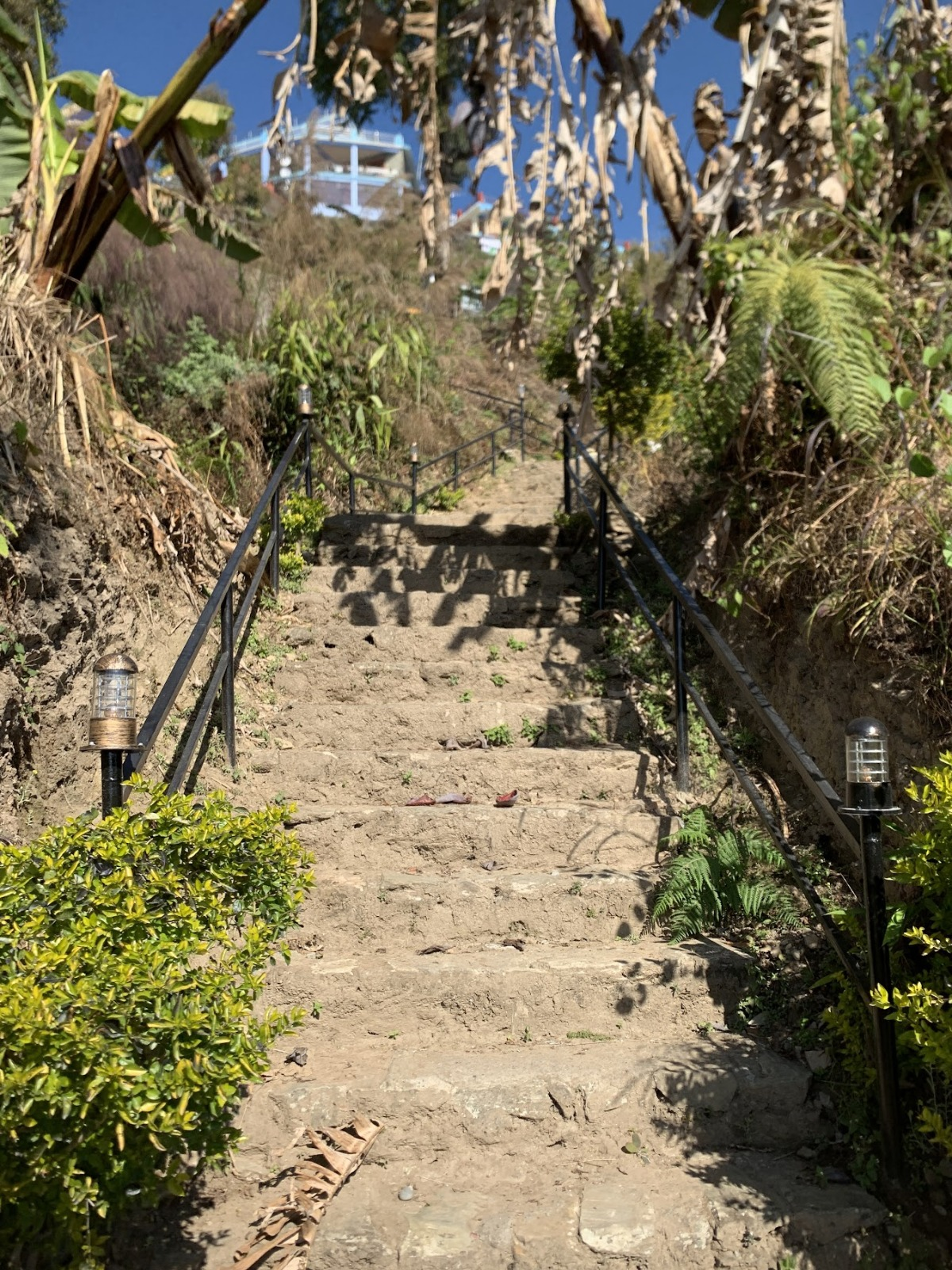 steps