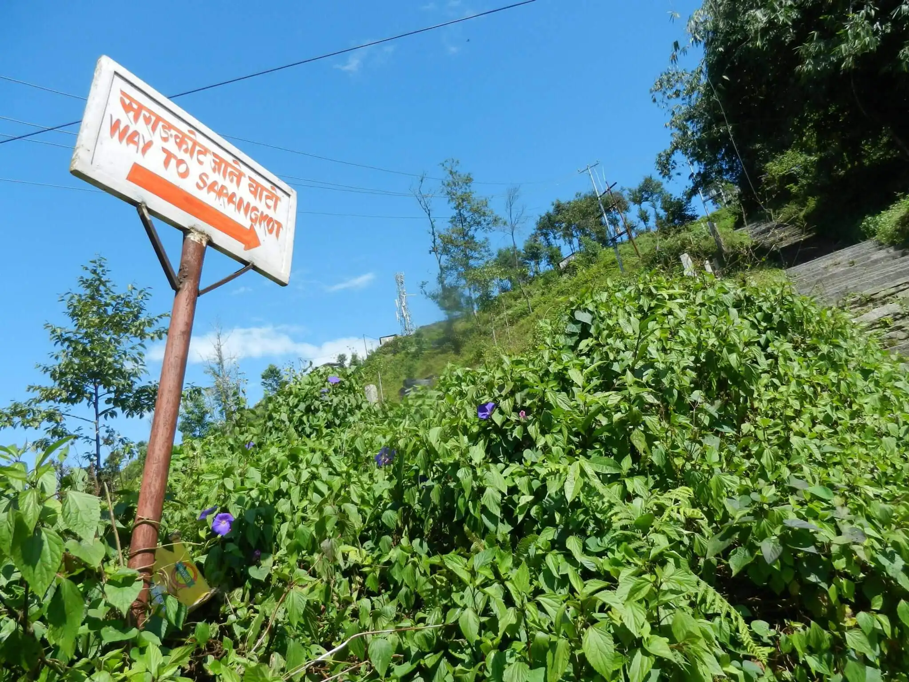 board showing way to sarangkot