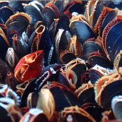 Cover Image for 4.  Løsninger som finnes i dag