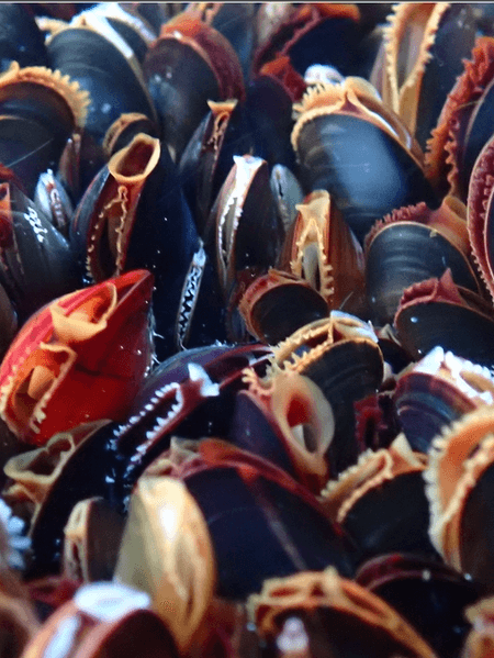 Cover Image for undefined