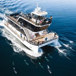 Cover Image for 6. Partnere og sponsorer