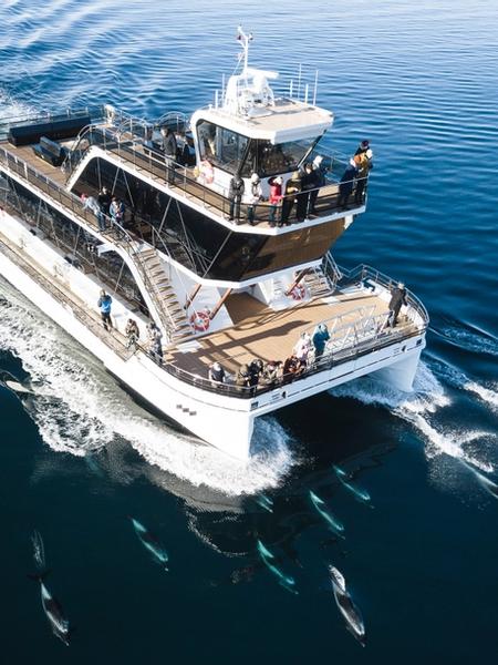 Cover Image for undefined