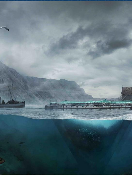 Cover Image for undefined