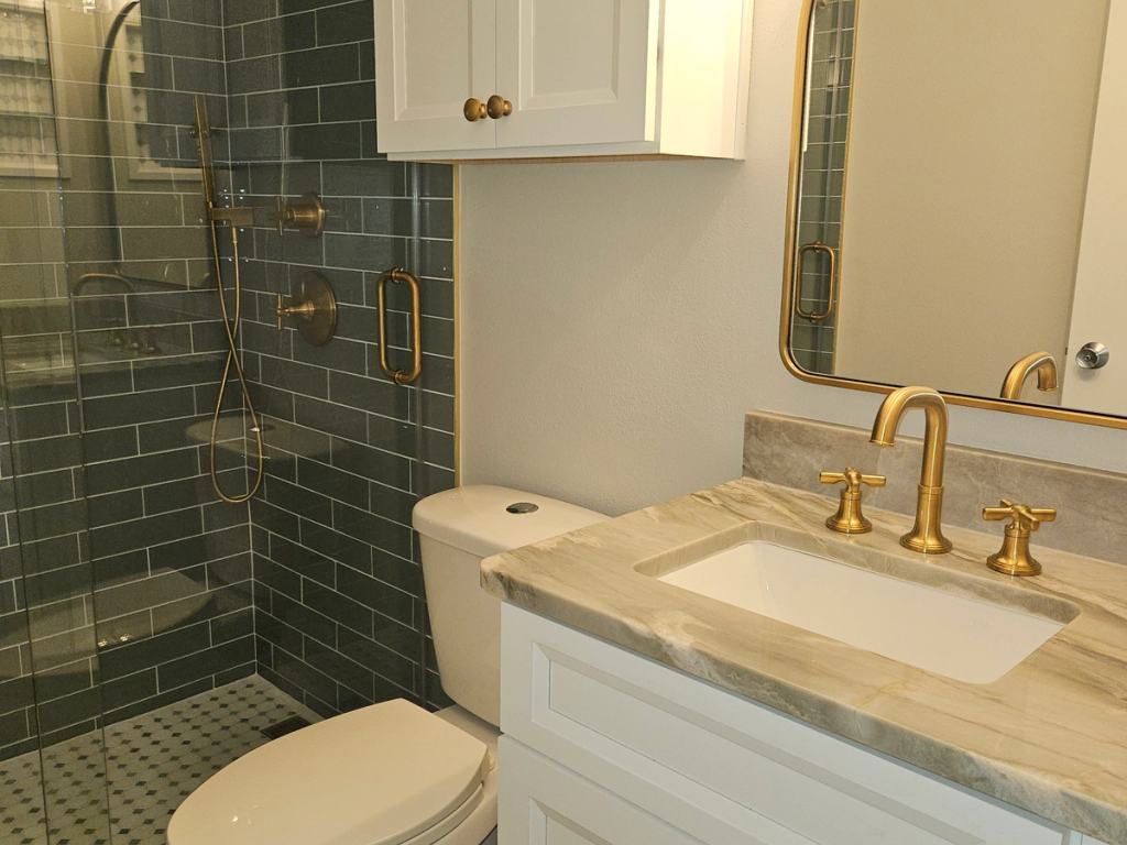 New Modern Master Bathroom