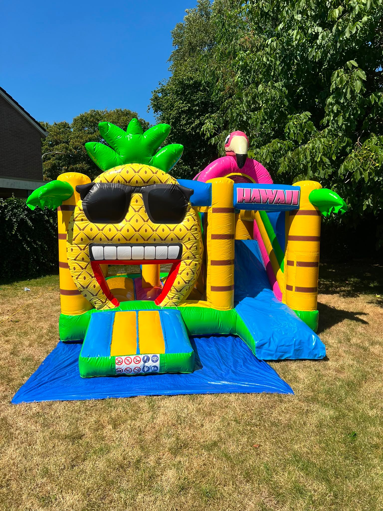 Multi Box Hawaii Springkussen huren | v.a. €95,00 | DTM Verhuur Zeewolde foto 2