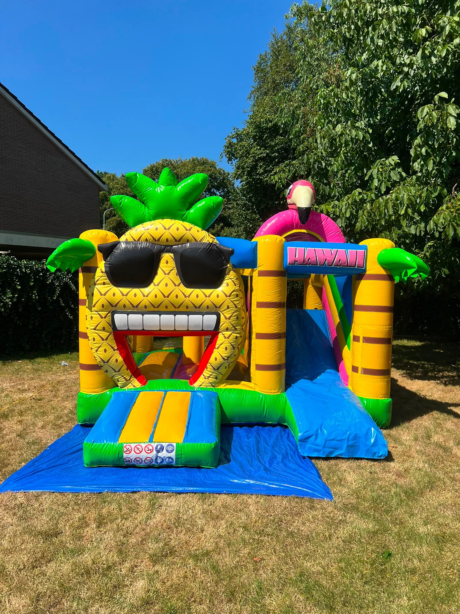 Multi Box Hawaii Springkussen huren | v.a. €95,00 | DTM Verhuur Zeewolde foto 4