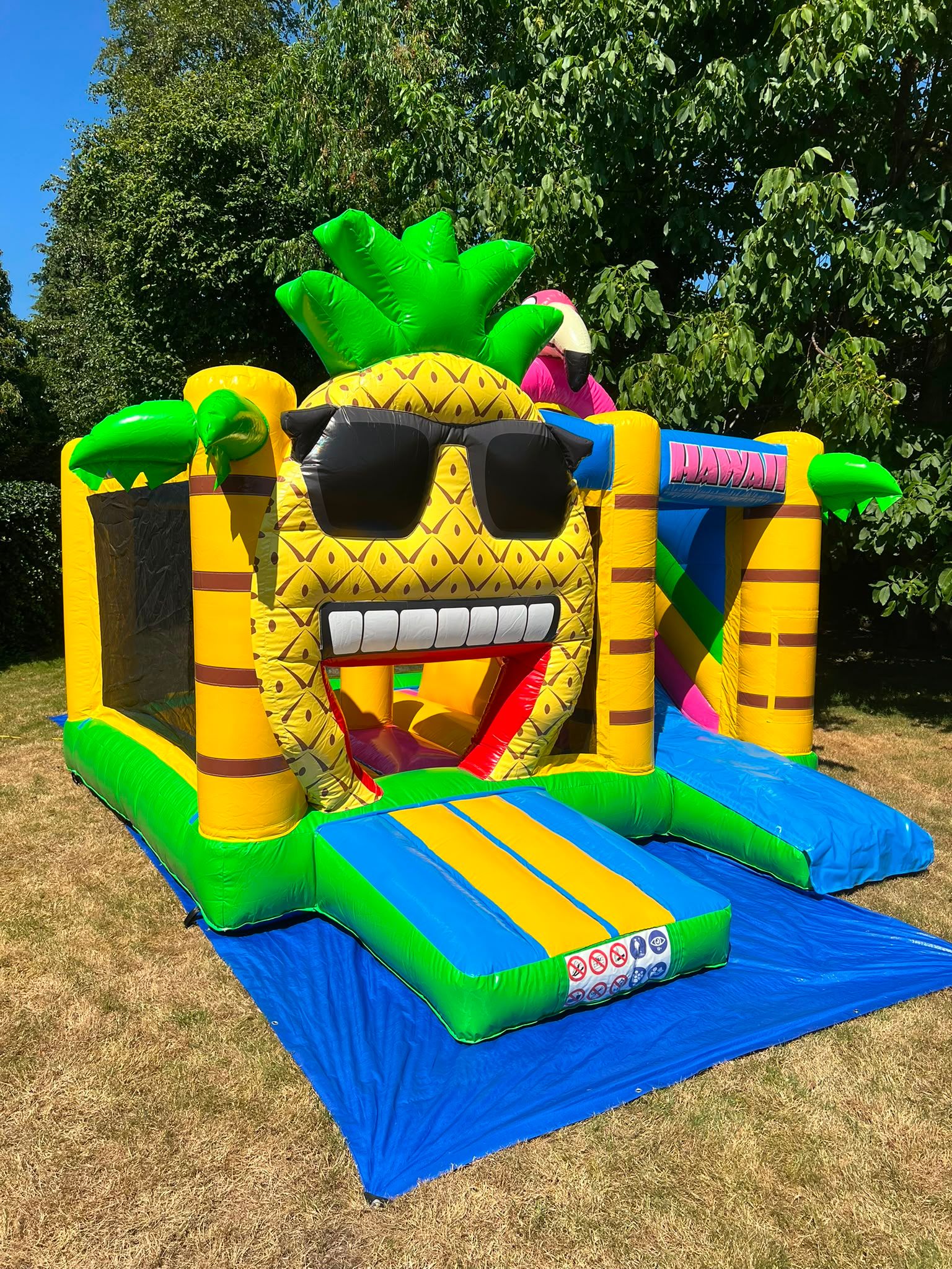 Multi Box Hawaii Springkussen huren | v.a. €95,00 | DTM Verhuur Zeewolde foto 3