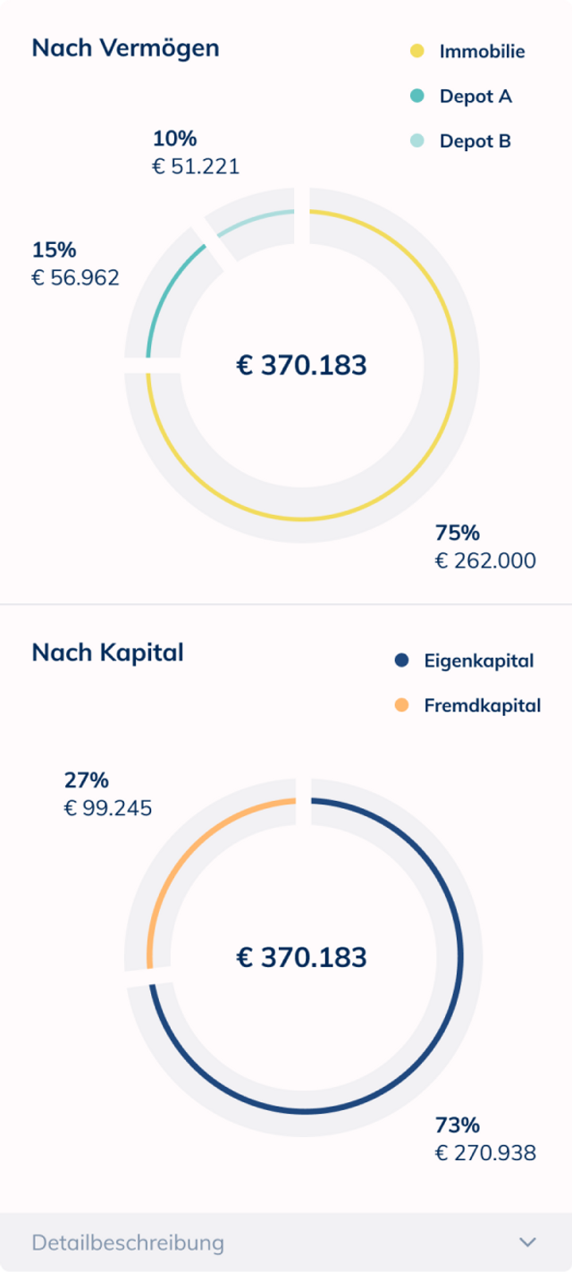 UI component showing pie charts of wealth sorted by capital and property.