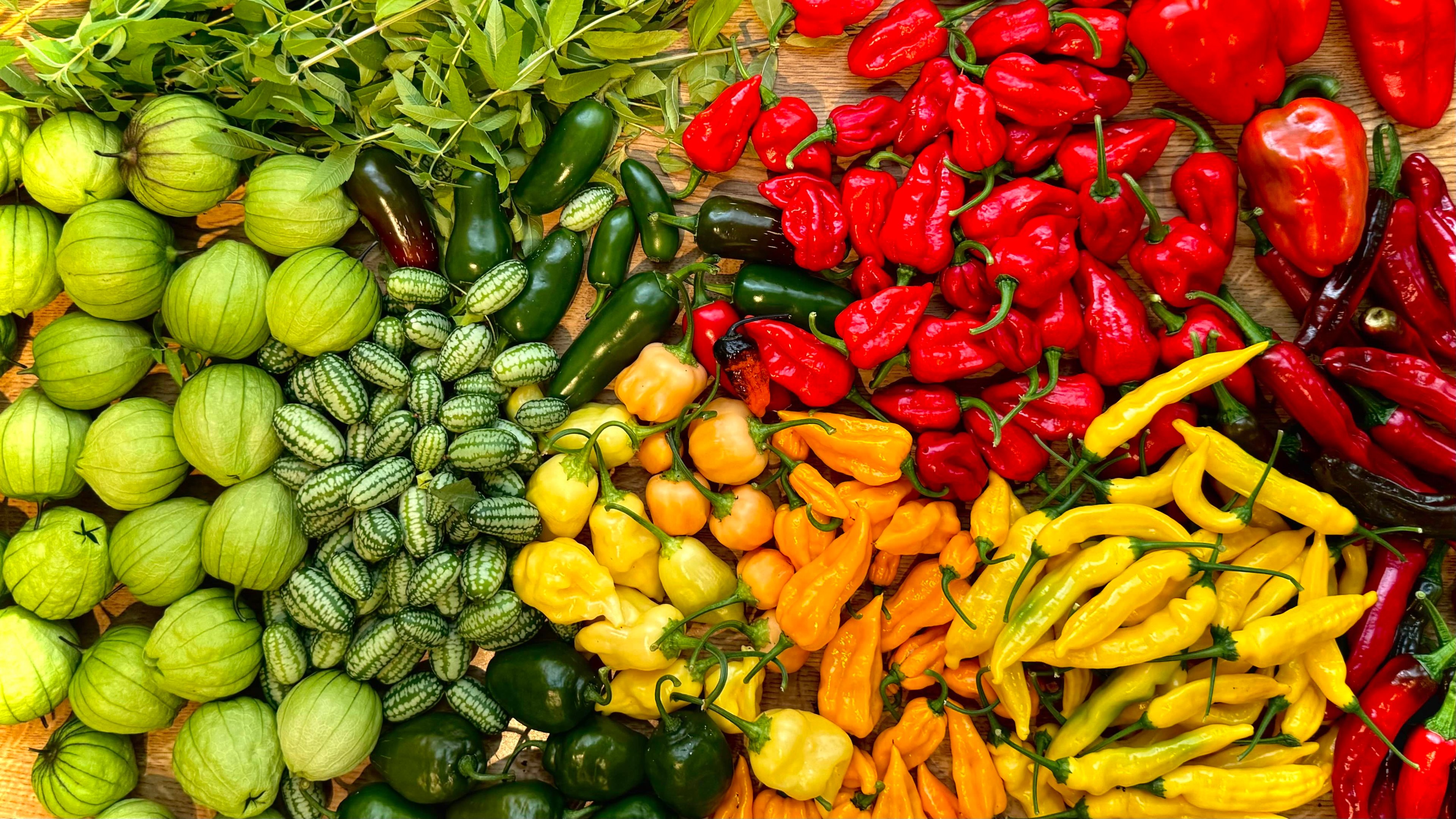 Various produce harvested from the garden spread across a kitchen surface.