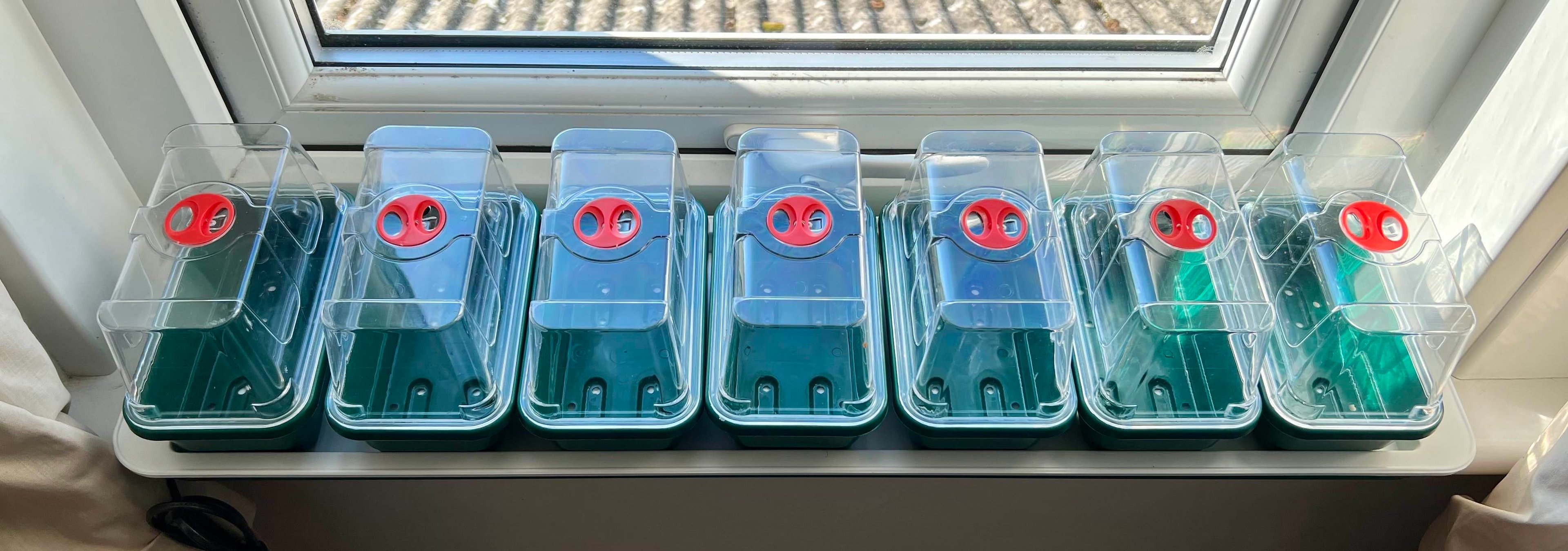 Heated propagator tray on a window sill.