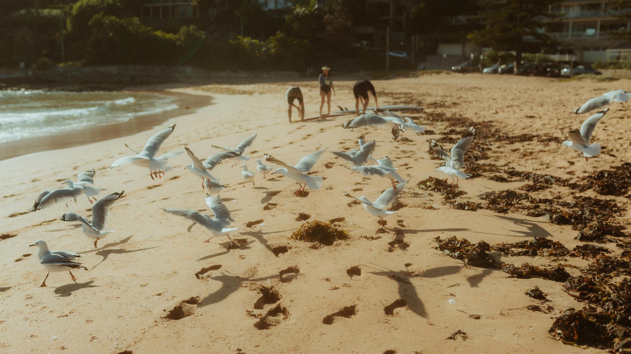 Petra and Roman talking with friends and surfboards on the beach