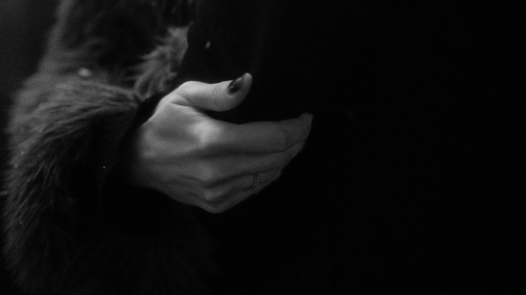 Close black-and-white view of Lorelai's hand holding Steffen's dark coat.
