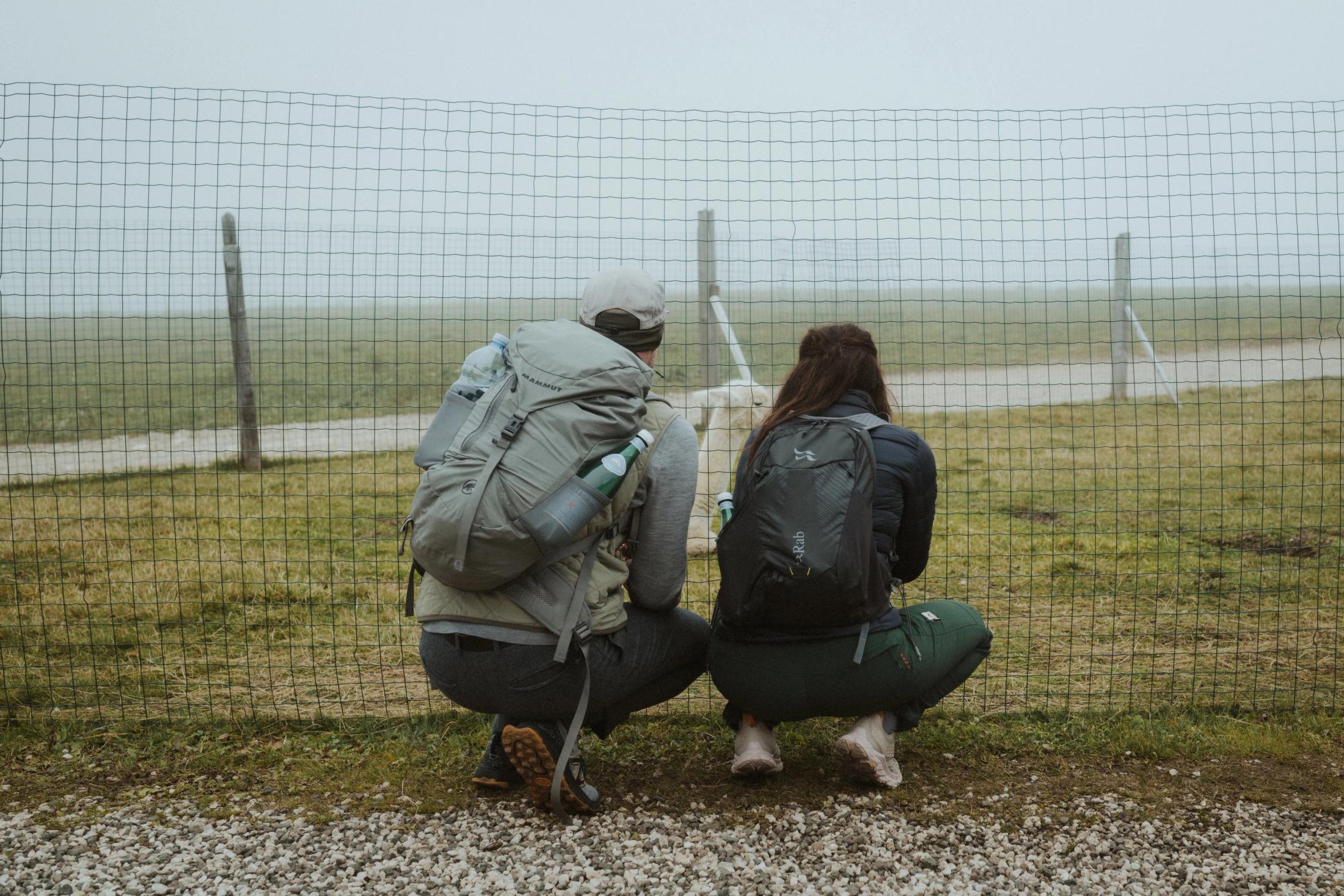 Jana and Steffen crouching beside alpacas in a foggy enclosure.